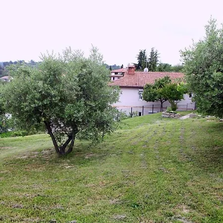 Apartment Uma